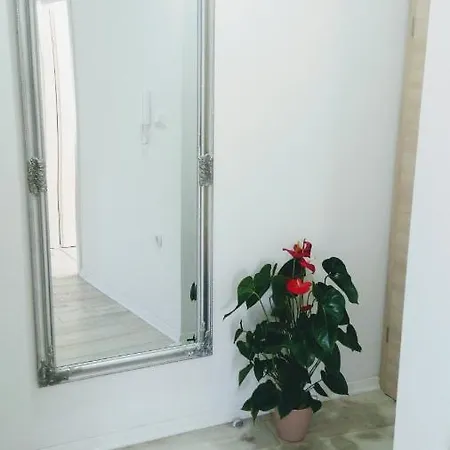 Lägenhet Davorka Makarska